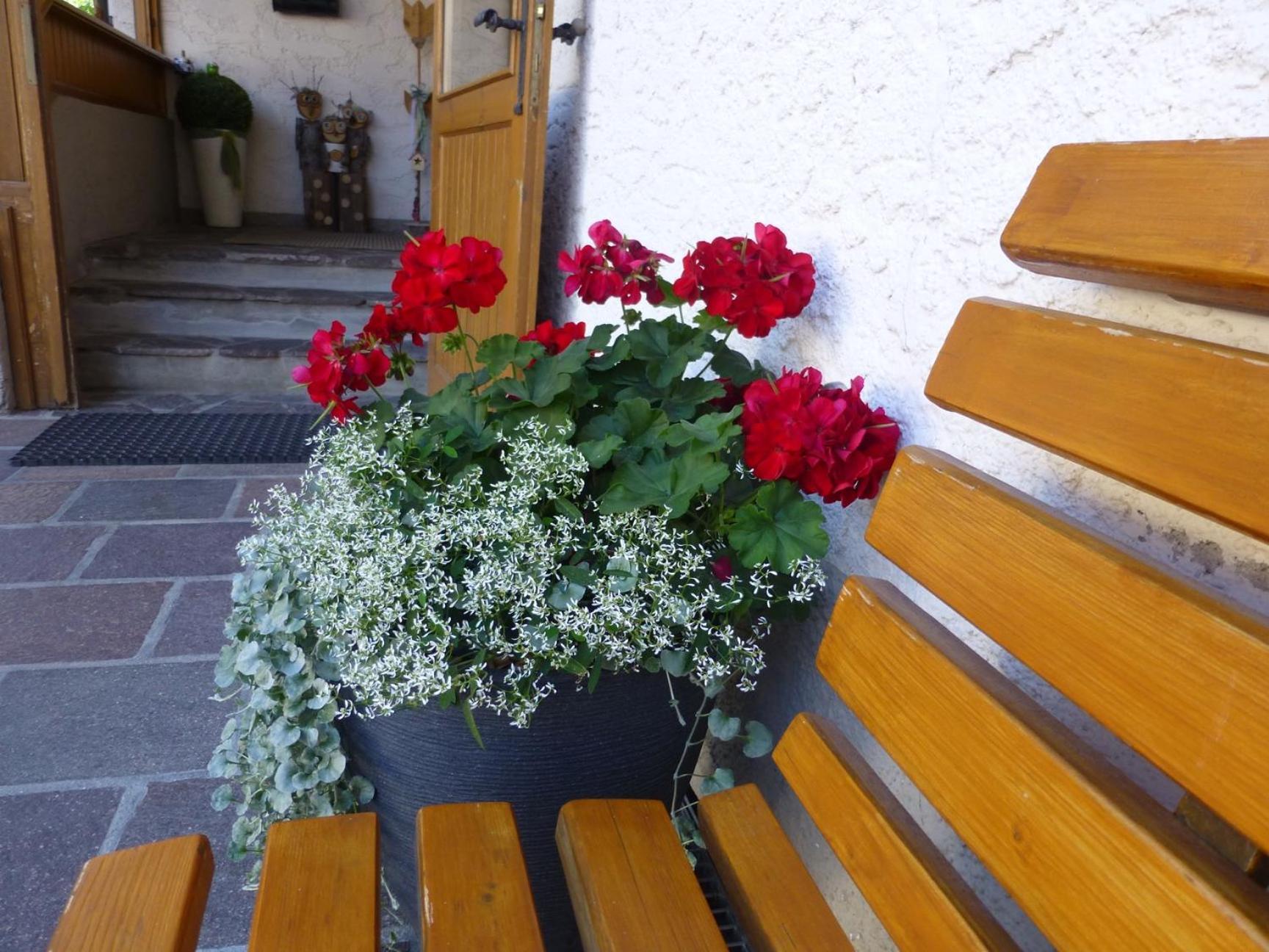 Garni Helfer Bed & Breakfast Dobbiaco Dış mekan fotoğraf