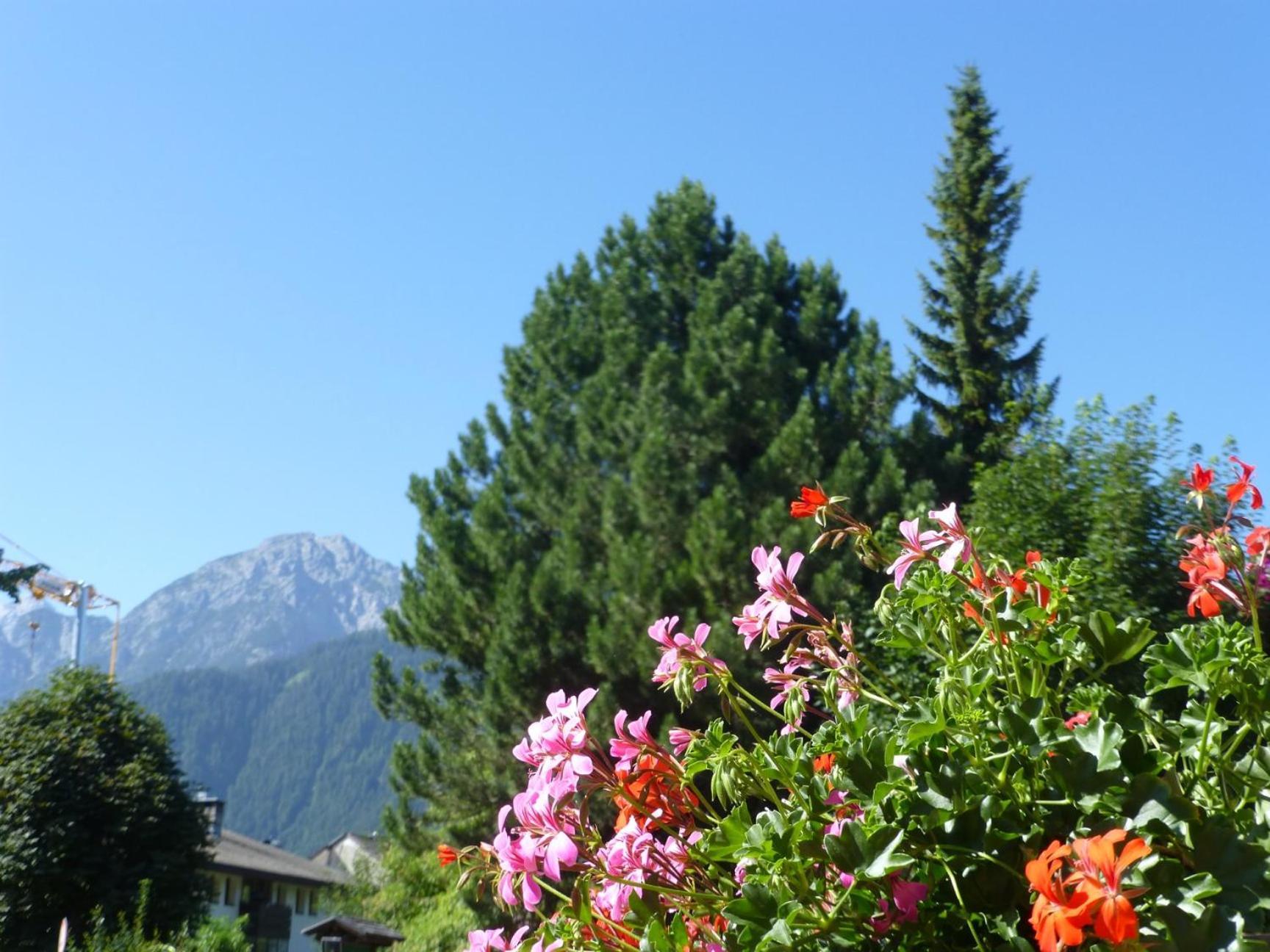 Garni Helfer Bed & Breakfast Dobbiaco Dış mekan fotoğraf